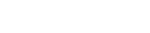 Baltic white logo