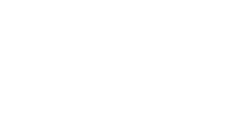 Palmer Johnson white logo