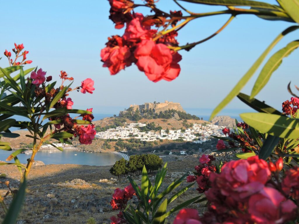 Ancient buildings through the foliage of pink flowers