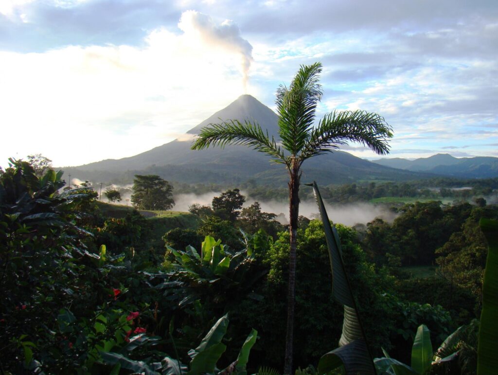 A volcano and jungle